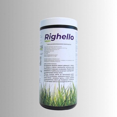 Righello 1kg - środek owadobójczy (ID: 801001)